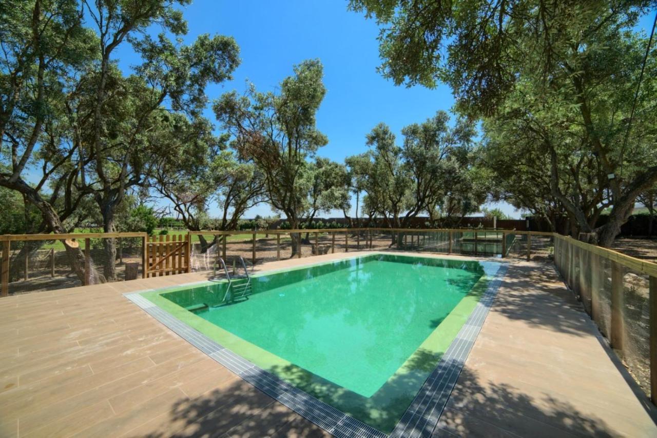 Гостьовий будинок Finca Olivar De La Bardena Тудела Екстер'єр фото
